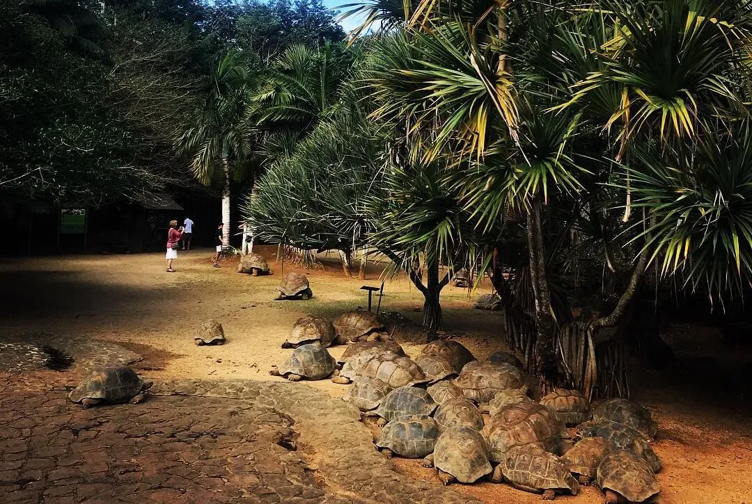 https://phmauritius.com/activity/la-vanille-nature-park/